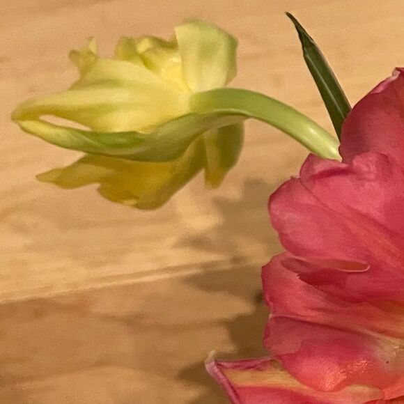 Stop and Smell the Flowers 🌷 - Picture 3 of 6